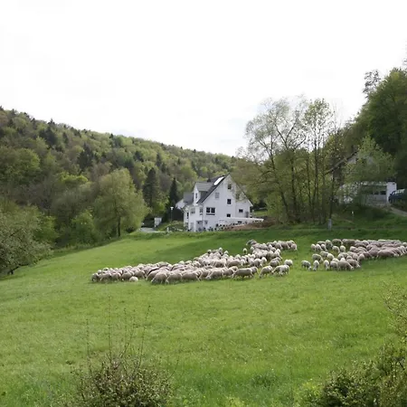 Arlesbrunnen Frühstückspension