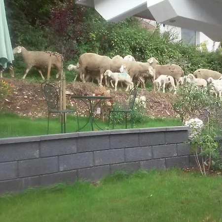 Frühstückspension Arlesbrunnen *
