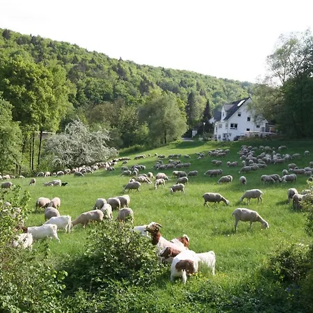 Frühstückspension Arlesbrunnen Egloffstein
