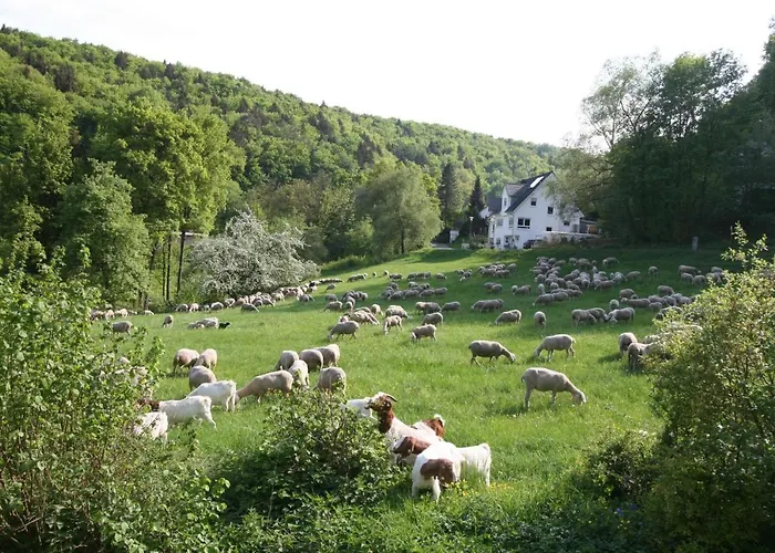 Oda ve Kahvaltı Arlesbrunnen Egloffstein
