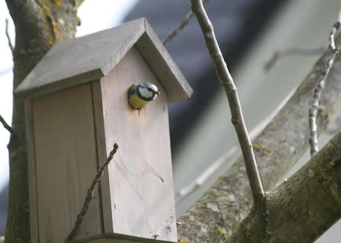 Arlesbrunnen 3* Egloffstein