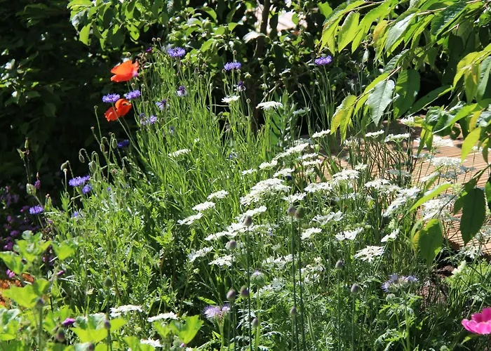 Arlesbrunnen 3* Egloffstein