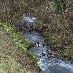 Arlesbrunnen 3*