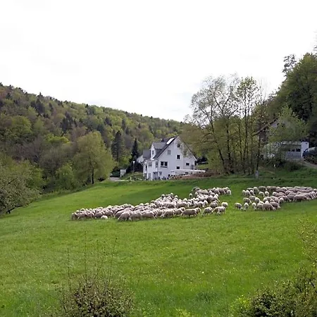 Bed & Breakfast Arlesbrunnen