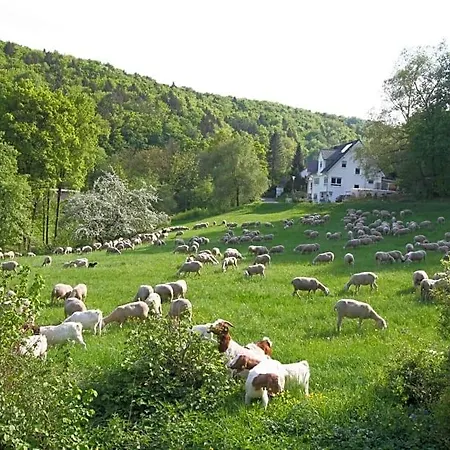 Bed & Breakfast Arlesbrunnen 3*