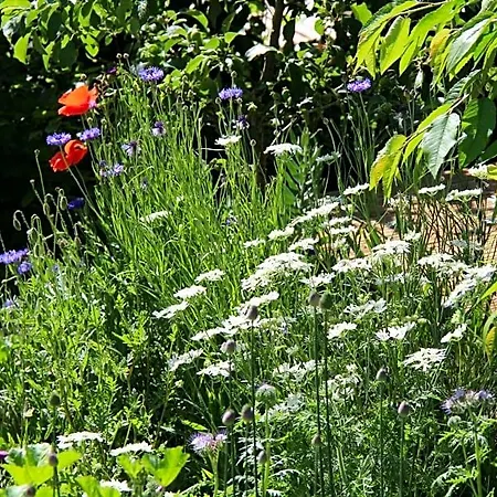 Arlesbrunnen Bed & Breakfast Egloffstein