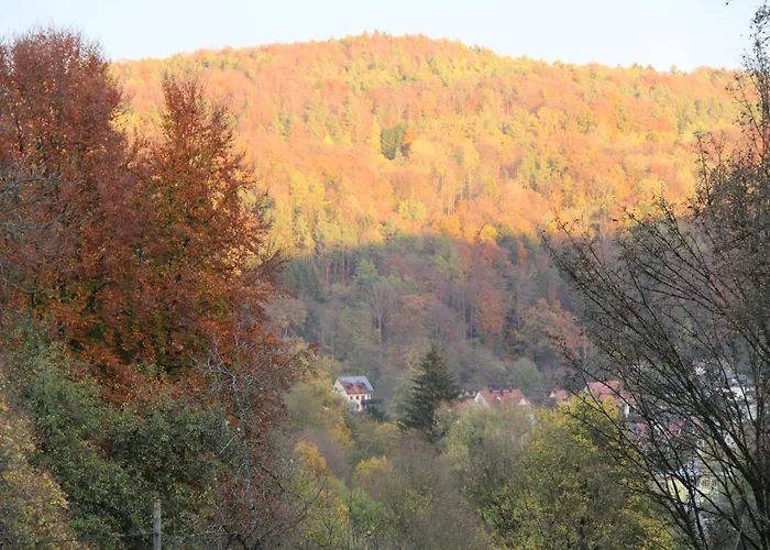 فندق مبيت وإفطار Arlesbrunnen 3*